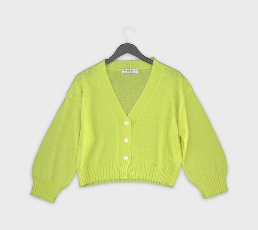 [A20260205_113755] Nathalie Vleeschouwer Truien L