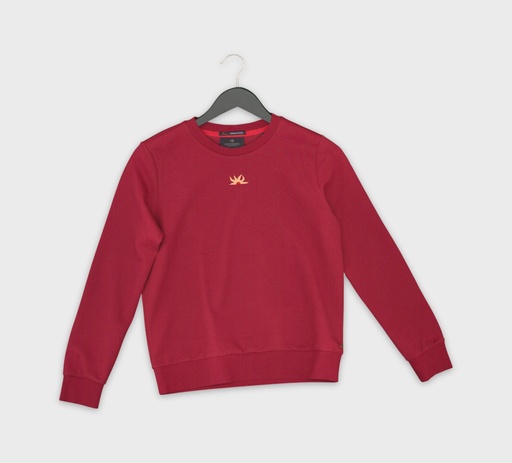 [A20260115_140052] Scotch & Soda Truien S